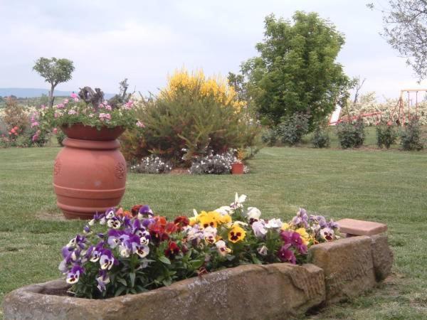 Agriturismo I Romiti Castiglione del Lago Eksteriør billede