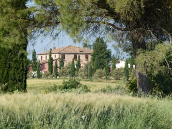 Agriturismo I Romiti Castiglione del Lago Eksteriør billede