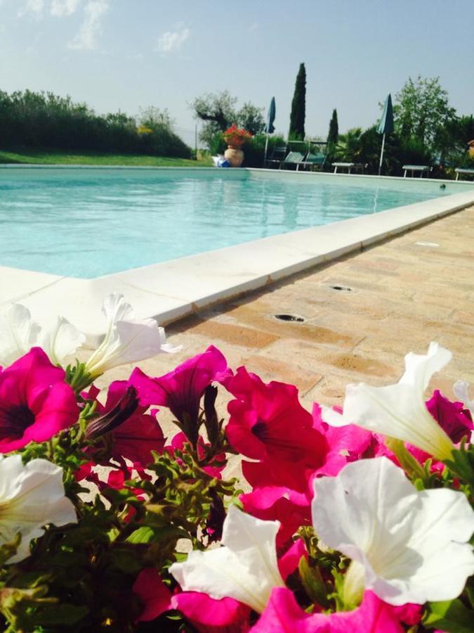 Agriturismo I Romiti Castiglione del Lago Eksteriør billede
